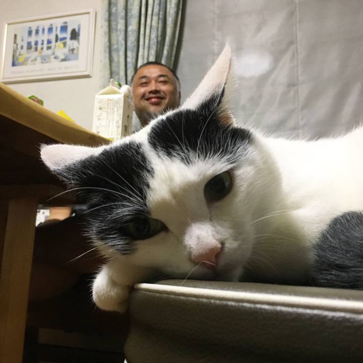 851970aa 751c 49c9 98d4 71d3dcf07ea3 1537013423216