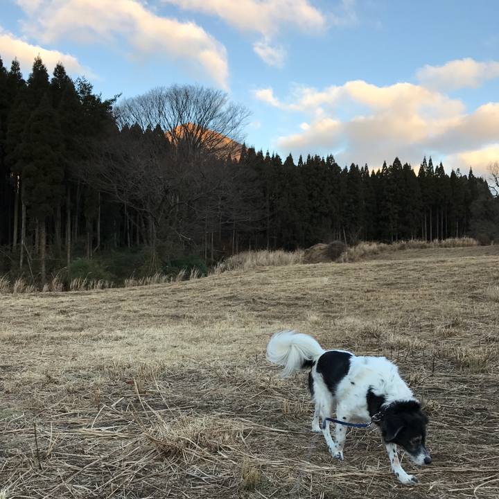 85197d95 e225 4127 9a8c b0aca9925999 1514351419082