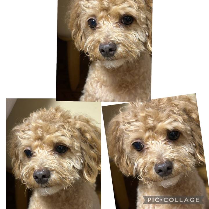 85199d63 5e02 45ad 9c32 9a1f40038449 1748819201390