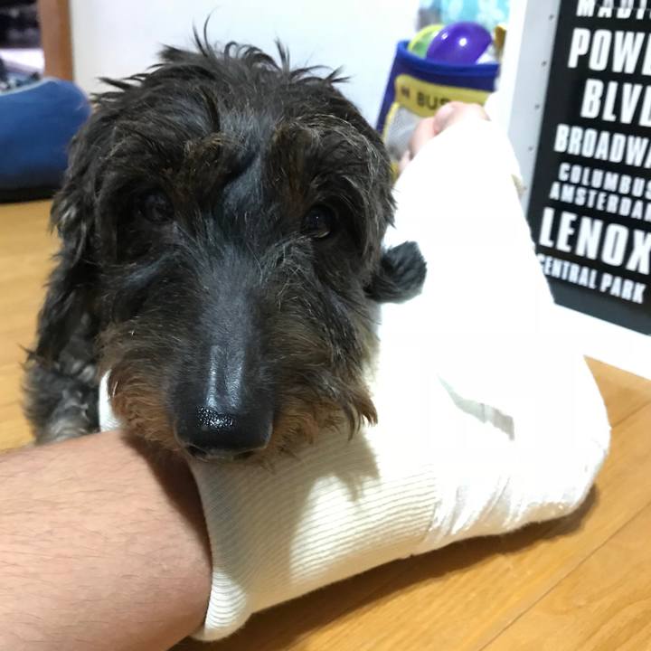 8519b7cb 6fd3 44c3 bb26 46184a09f22c 1539359667535