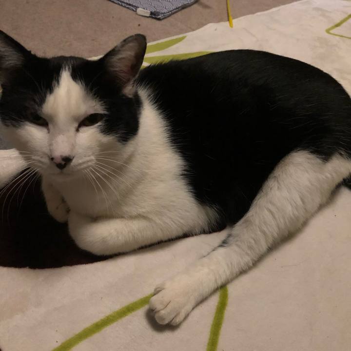 8519ba91 4355 49ed b0ef 4f8da9a74fa2 1551803753524