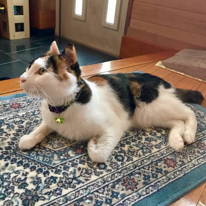 8519f0ef 0105 4d26 99c8 51e410673988 1526372175234