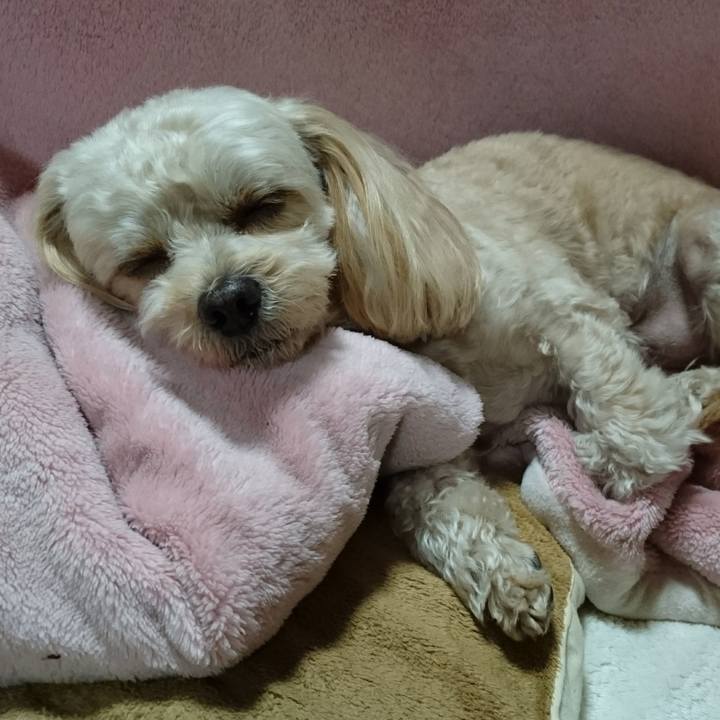 8519f94e 445f 41b2 a309 3be8a9861e43 1513350340301