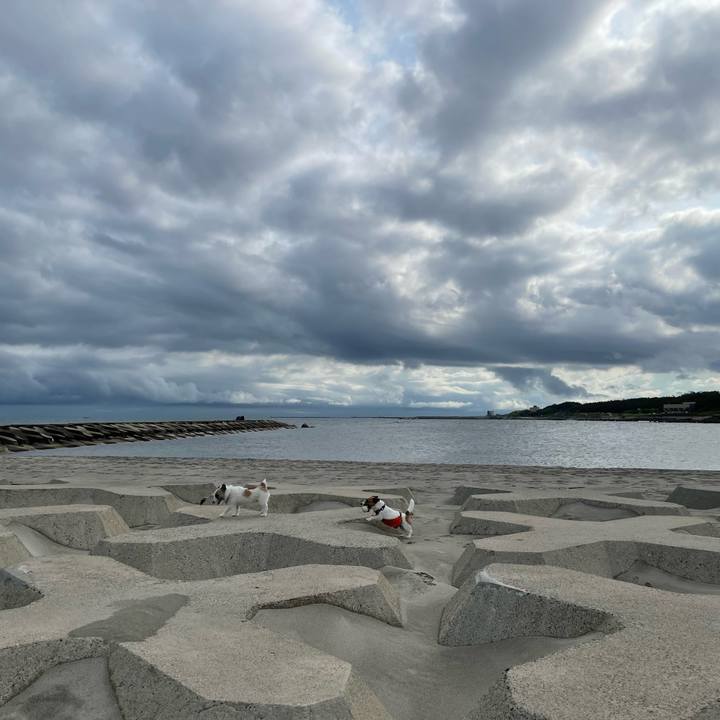 851a057f a113 40f9 9a03 0211b0466f84 1685402335520