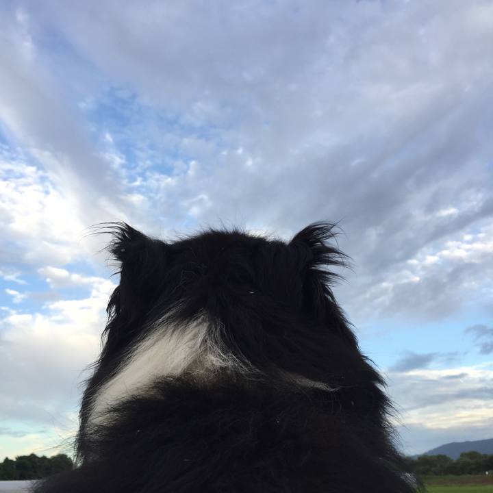 851a600a fed9 40f8 8373 7ed25024e9fc 1565219534697