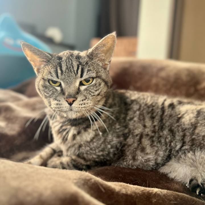 851ac138 d7fc 4ee9 8467 8c2206a64835 1765115953450