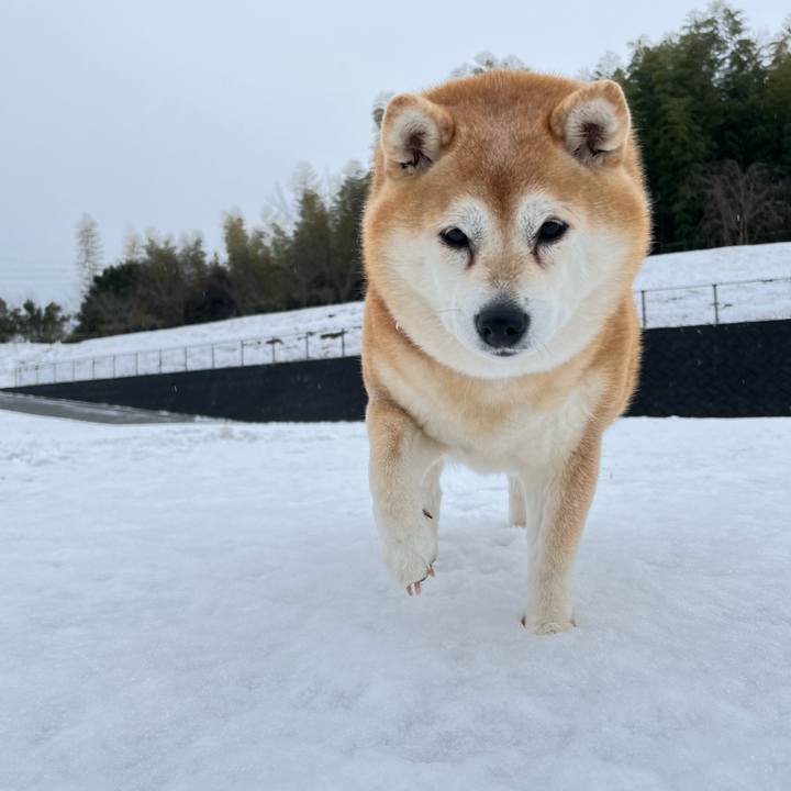 851ada57 e051 4982 aaf6 4d213833b8ef 1707250142662