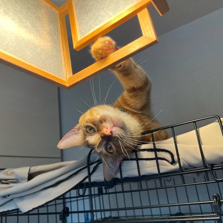 851ae3fd 86b3 4853 8b91 dee0579bb2c7 1657755306067