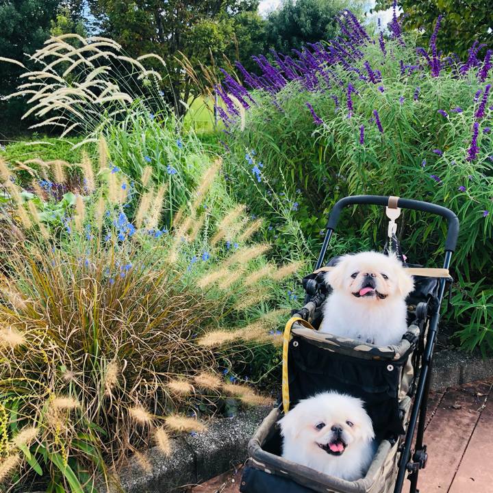 851aec6f b3d0 48bc ae43 c7b319b69317 1633132805140