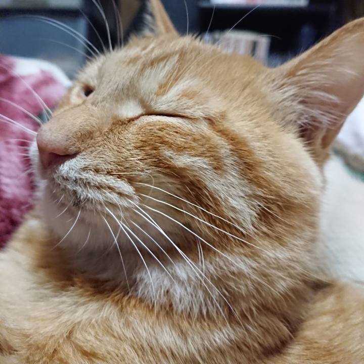 851b2471 b262 4eed b568 db1a6a14bca9 1637238525561