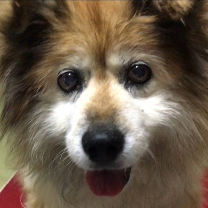 851b2d0a a230 47cc 85cb c9a8b7d4e157 1634546546375