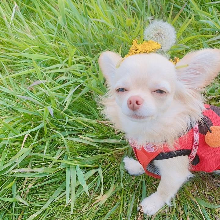 851b4bcf 1091 4024 a6e5 897623bde096 1619598718823