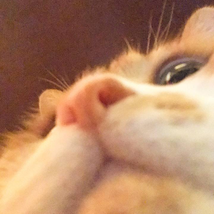 851b655f a21b 46f5 9802 4ec774e26784 1516515950191