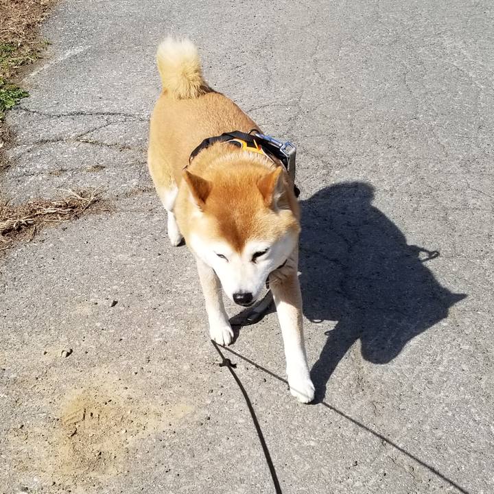 851b68bc 6d0e 415a 81e9 f057e6a9b55f 1617256445318