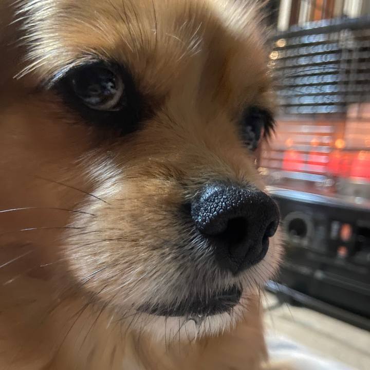 851be7bf 8e71 421e 8e33 bf39854e436b 1644614502547