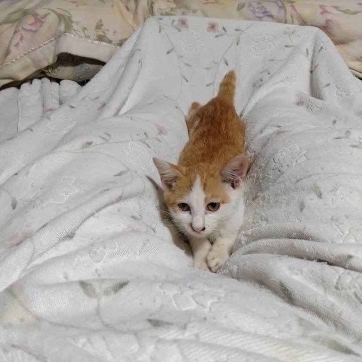 851c6337 b570 4237 a4b3 679cd6790b96 1726659780036