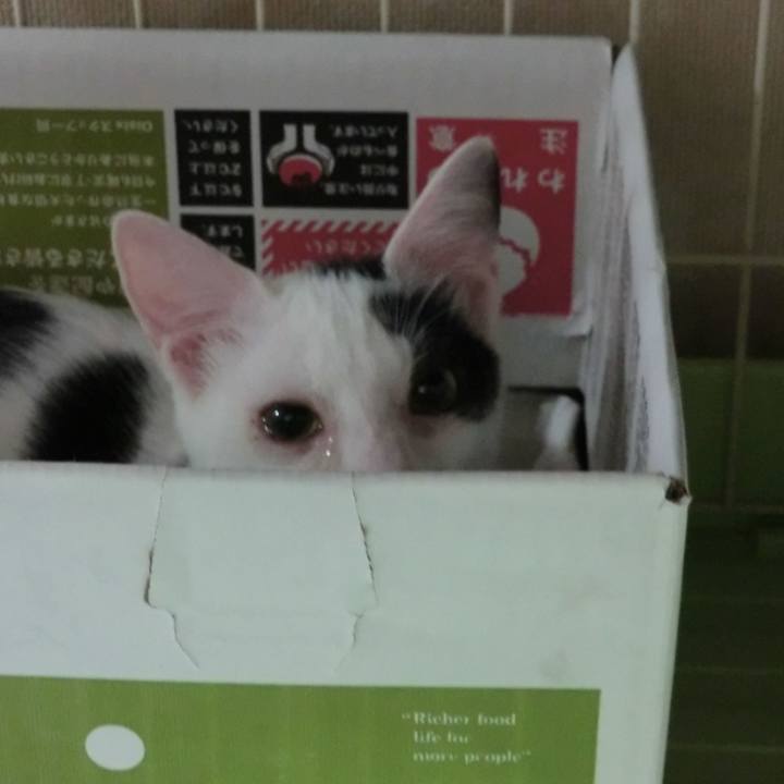 851cb665 34f6 4295 9773 c5e1adfda466 1537536145428