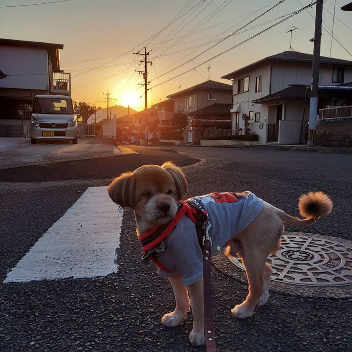 851cd559 30e2 4f6d 95ad f5314a0dd1dd 1646696691664