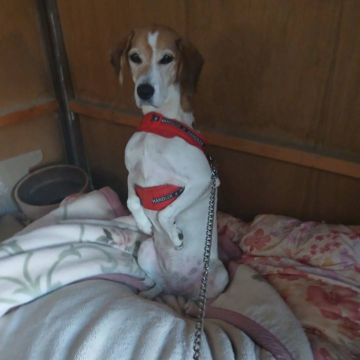 851ce84e 3f9b 4918 8f50 5eccc0d198f6 1764339179965