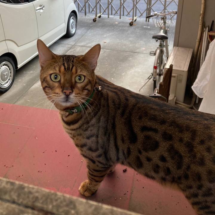 851d3190 f087 449f 8282 00f6b90a3632 1699012822367