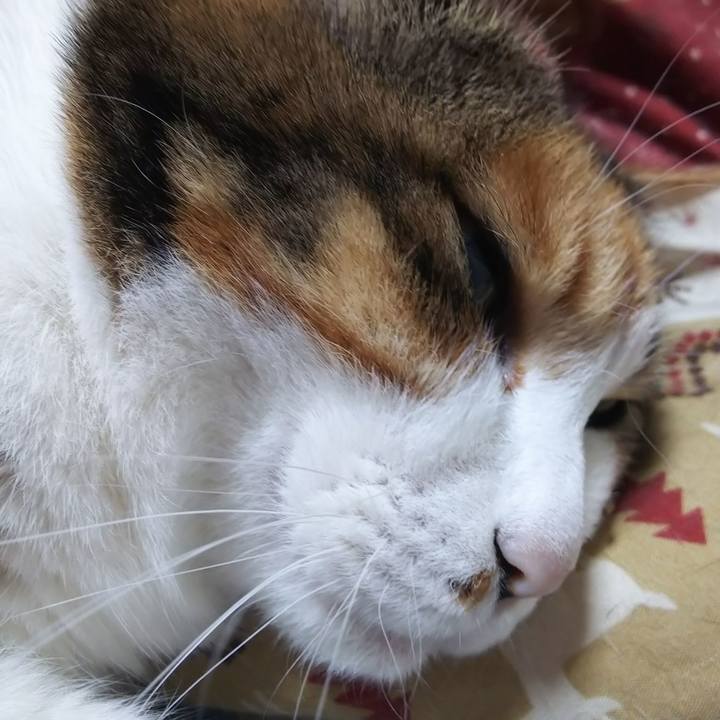 851d34e5 4211 418c 9ebd 769ebc9439a7 1590672316535