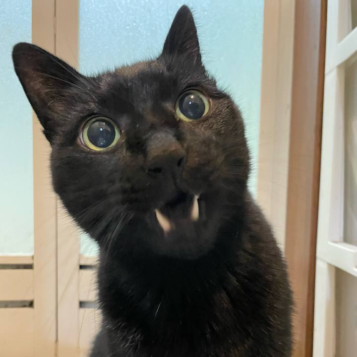 851d465d 142c 4cf9 8045 04eb05c60954 1635644938619