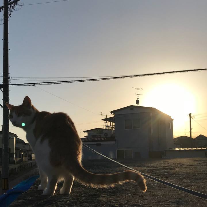 851d632d 1035 4835 aed1 aeea6e0de0c6 1521810730464