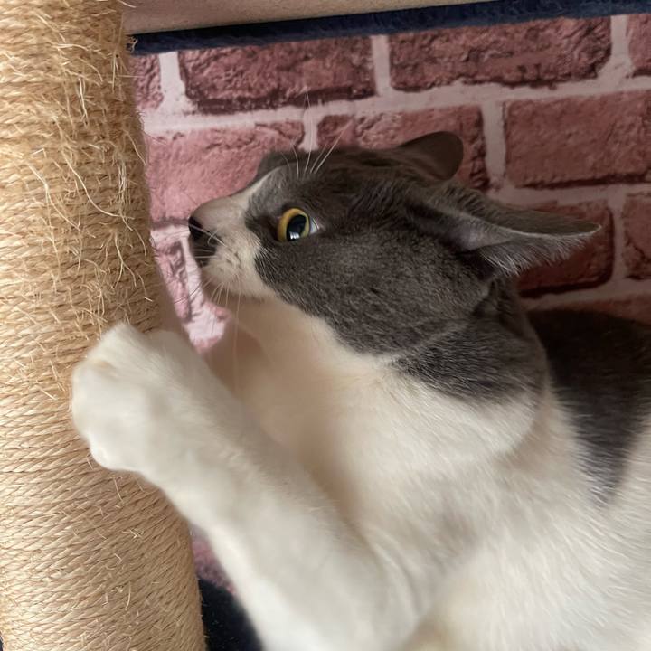 851d6e19 3d57 4334 88cf bda2d8852e1c 1704847180408