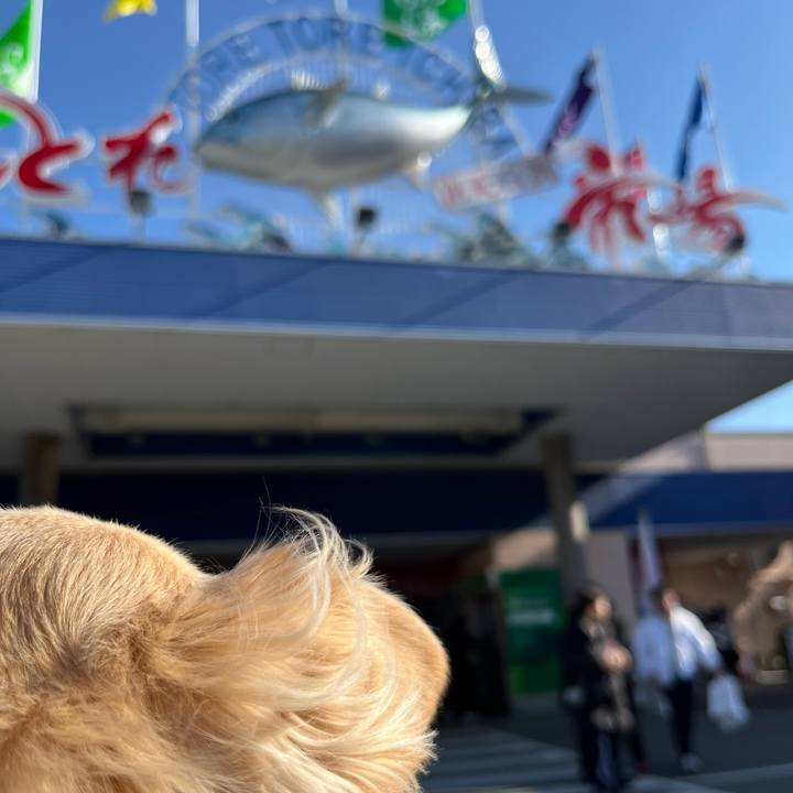 851dd134 d3aa 48a5 9d6c 22ed5b350503 1735866620303