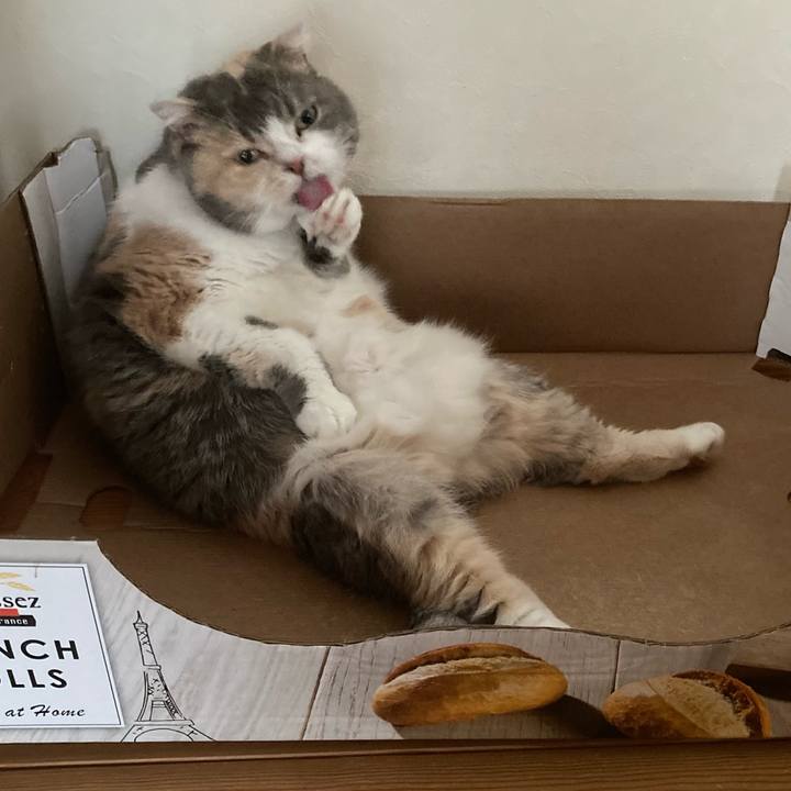 851de4b3 c2ac 45d6 bc2e 127811dfc96f 1613736746171