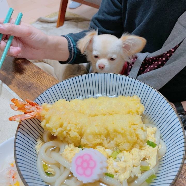 851e02b0 a277 4ba4 b9db a6b253dfc713 1609421209174