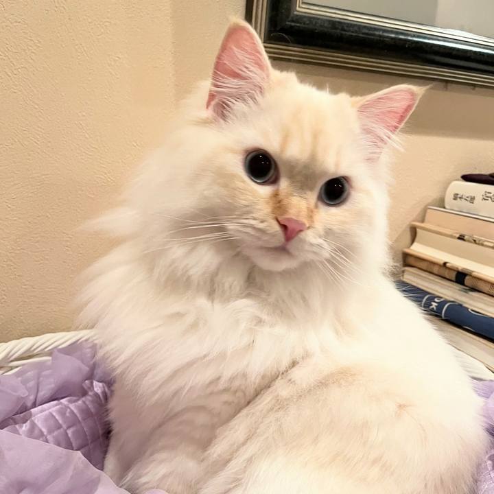 851e1539 a2fa 470e 8eb4 fae62821b707 1675825564055