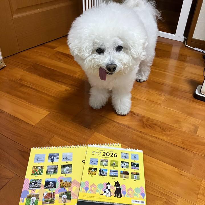 851e5878 559f 4e6e aa92 2059685b660e 1765770122832