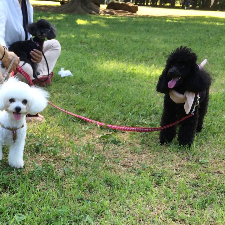 851e77ff d51b 4e49 b9e8 062173e728be 1530441255366