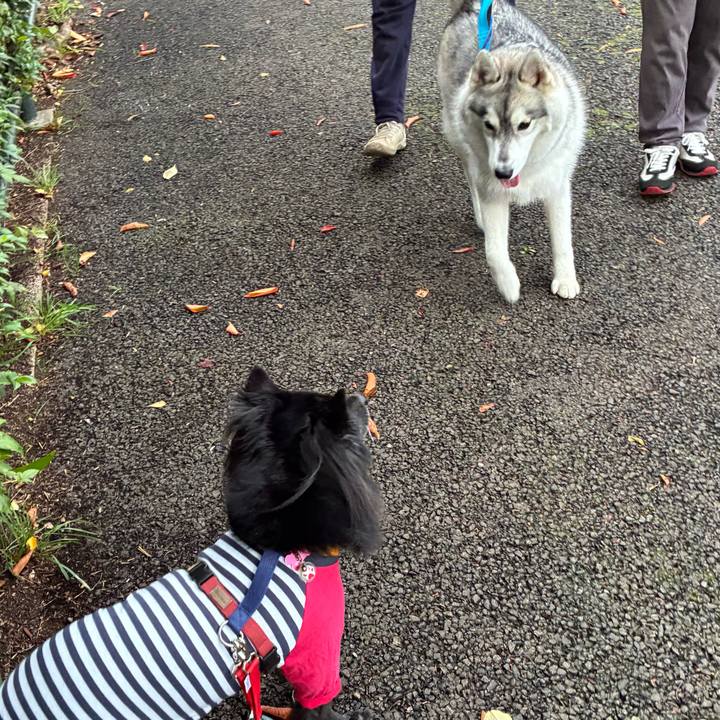 851eb250 2d88 46f1 9019 c5af346f98d1 1762820949552