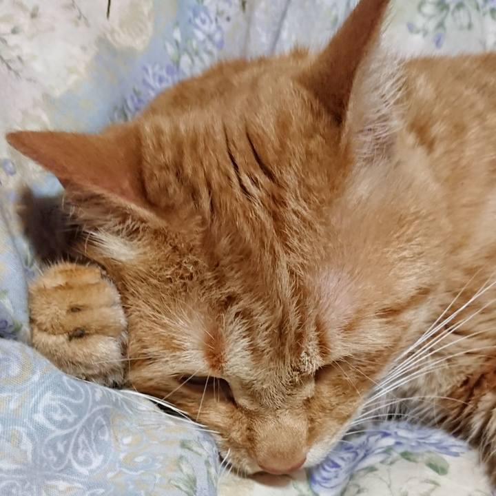 851ec498 c49e 4efb 9cb3 6f0c3a60bf63 1655644293436