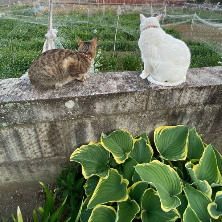 851f11f8 fa63 4de1 9487 d9a24714079b 1618930486068