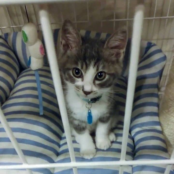 851f16f1 3ee5 4746 a8d6 efe9e7d013bc 1654763879423