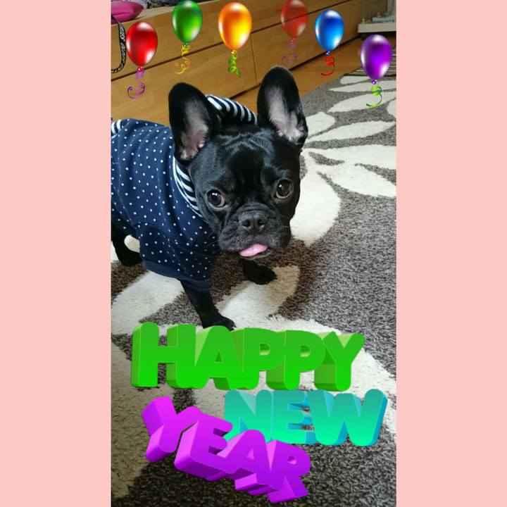 851f206d 8d9d 418f 885a 1260dae149e0 1514793604902