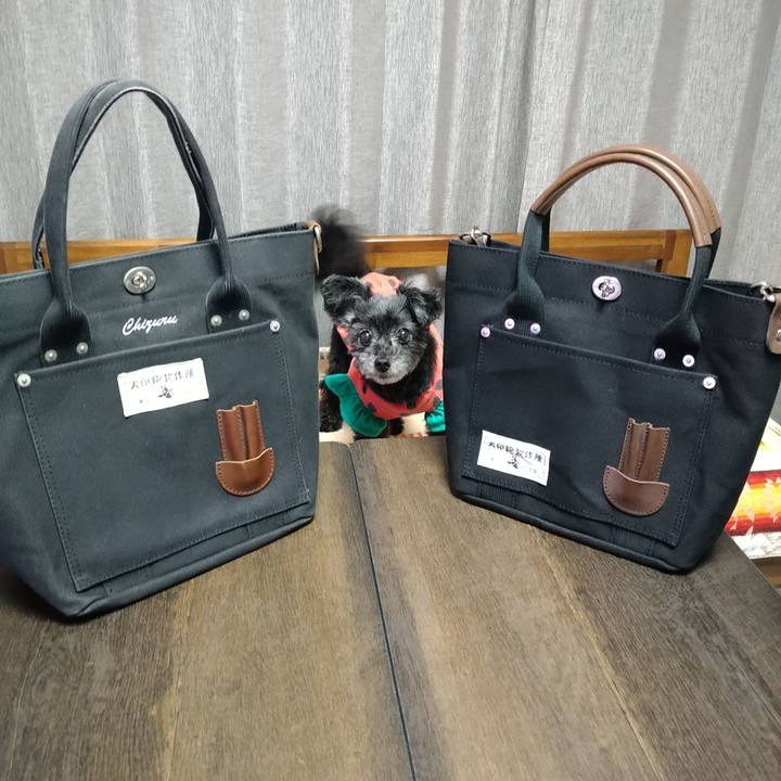 851f2693 b15c 4a00 b995 9b19e63addb1 1692354517582