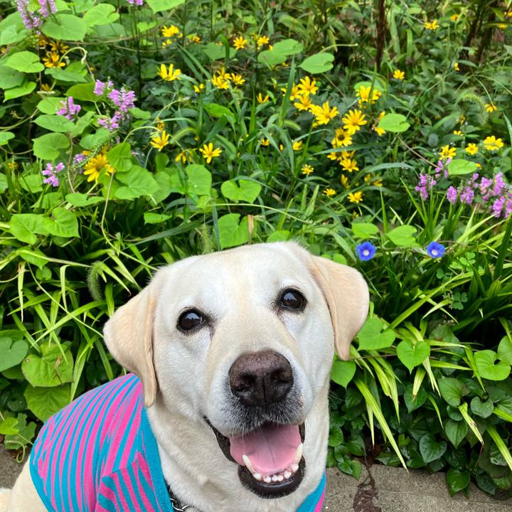 851f2c62 b482 49ca 81e7 ca3e6936e7e5 1662381210125