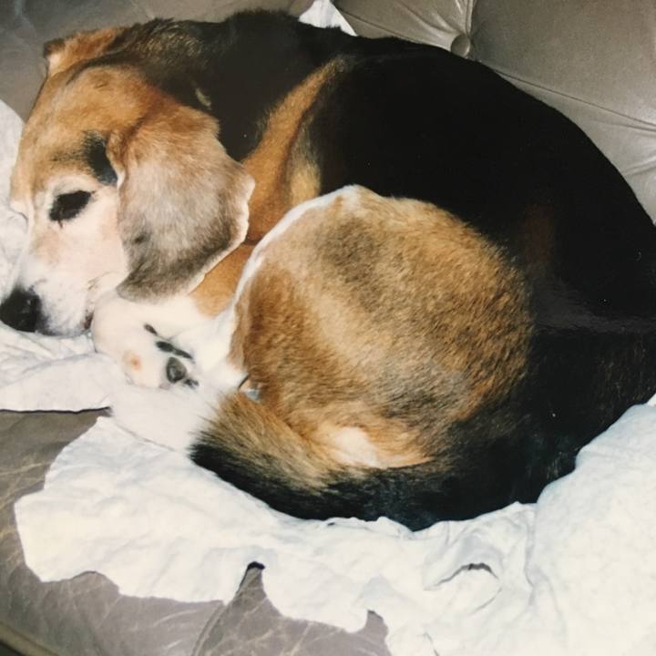 851f3fdc 96fb 4df1 9290 47e89dc09ef1 1524387812035