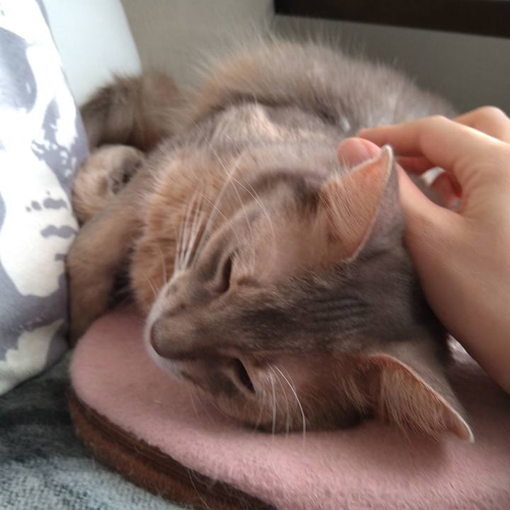 851f88f6 ffb9 4c86 b984 b2db64e6c9c6 1607341102301