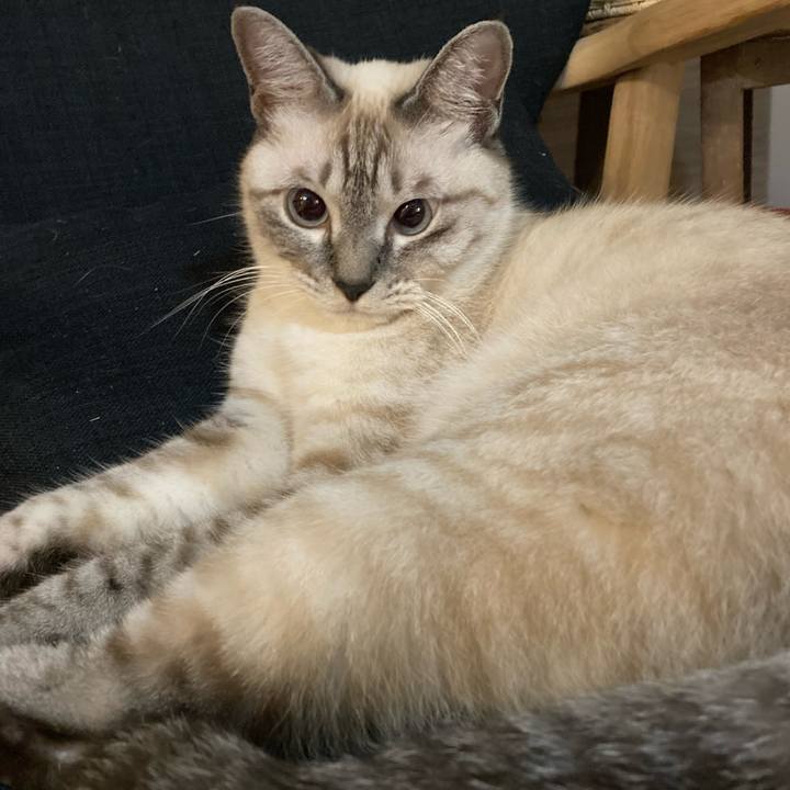 851fb983 a345 4ccc 95c1 6e82d6d74886 1598351251403