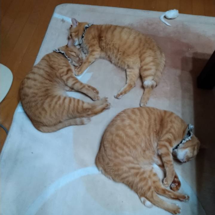 851fbbee 5201 4fd5 a563 dbde361bc159 1604233701993