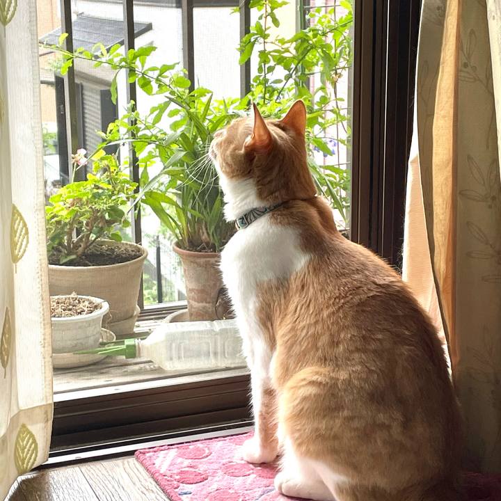 851feaac b5cc 4651 9805 fce0ea75800b 1660096930652