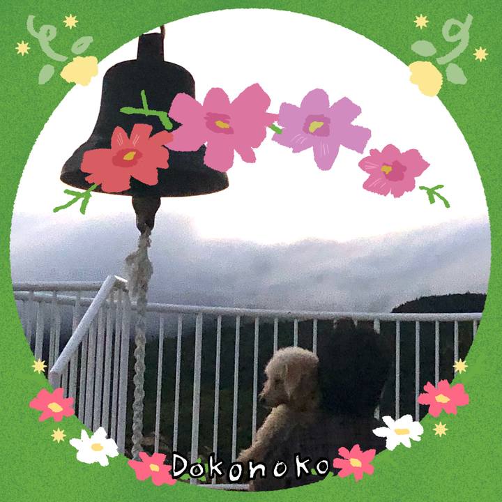 85200dea 1f73 44cf 9f90 67648ff1cc51 1727008626125