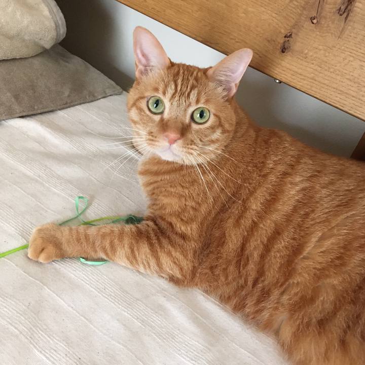 85203a8b 4222 4b90 9a21 22ad5aefbdb5 1602379142270