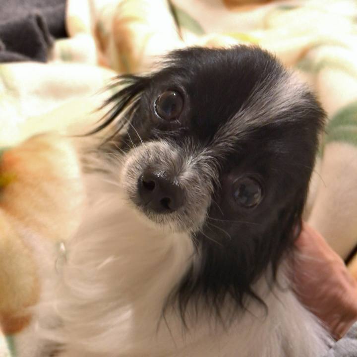 85206c16 992b 4ba9 8af8 aa002f663e49 1516887428982