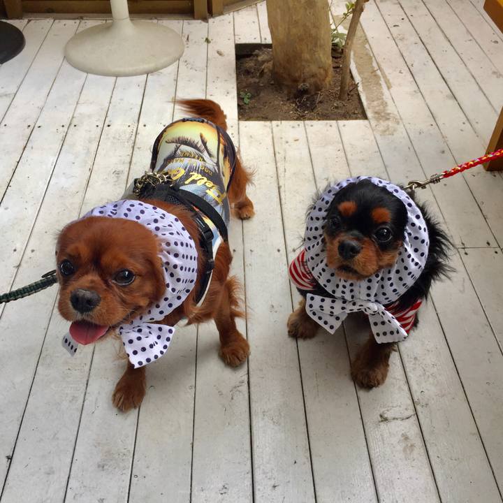 85207d80 3559 42b0 ab3d 6bce000749c3 1525322128782